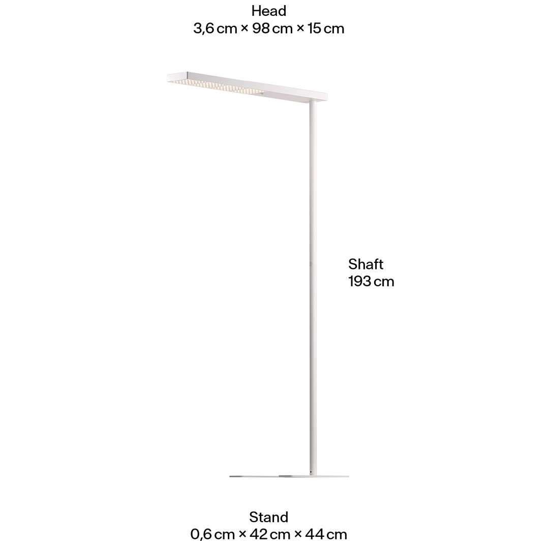 Grau - XT-A Plus – Image 8