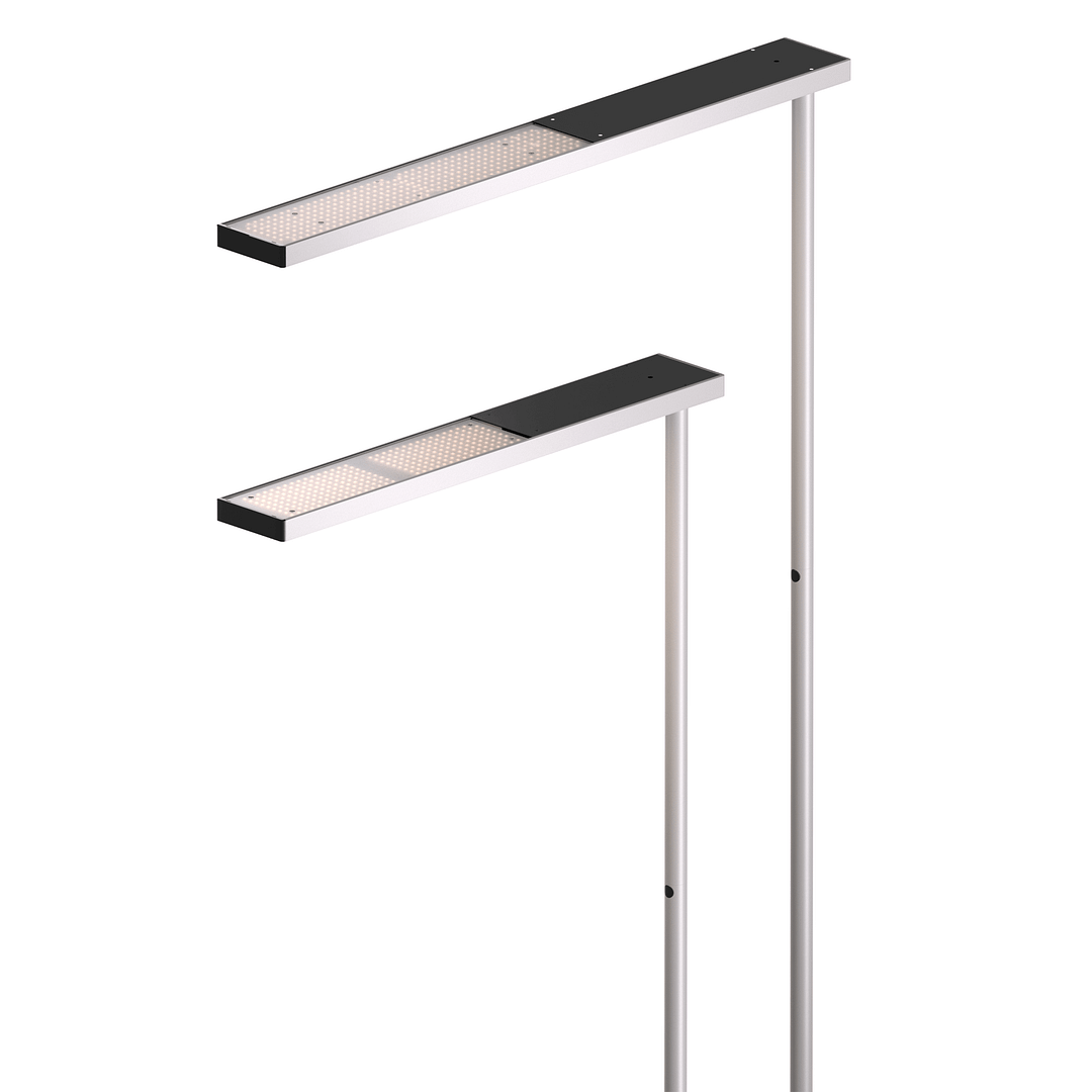 Grau - XT-A Plus – Image 4