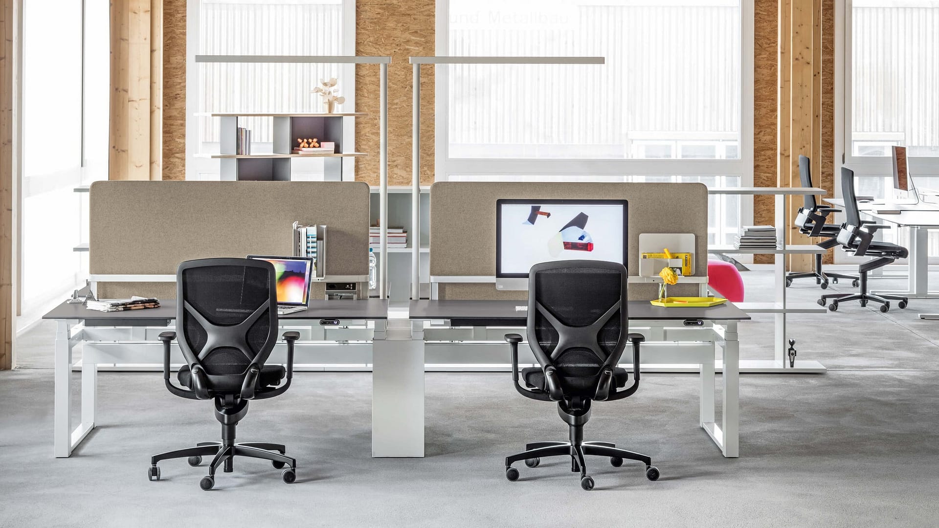 Grau - XT-A Plus – Image 2